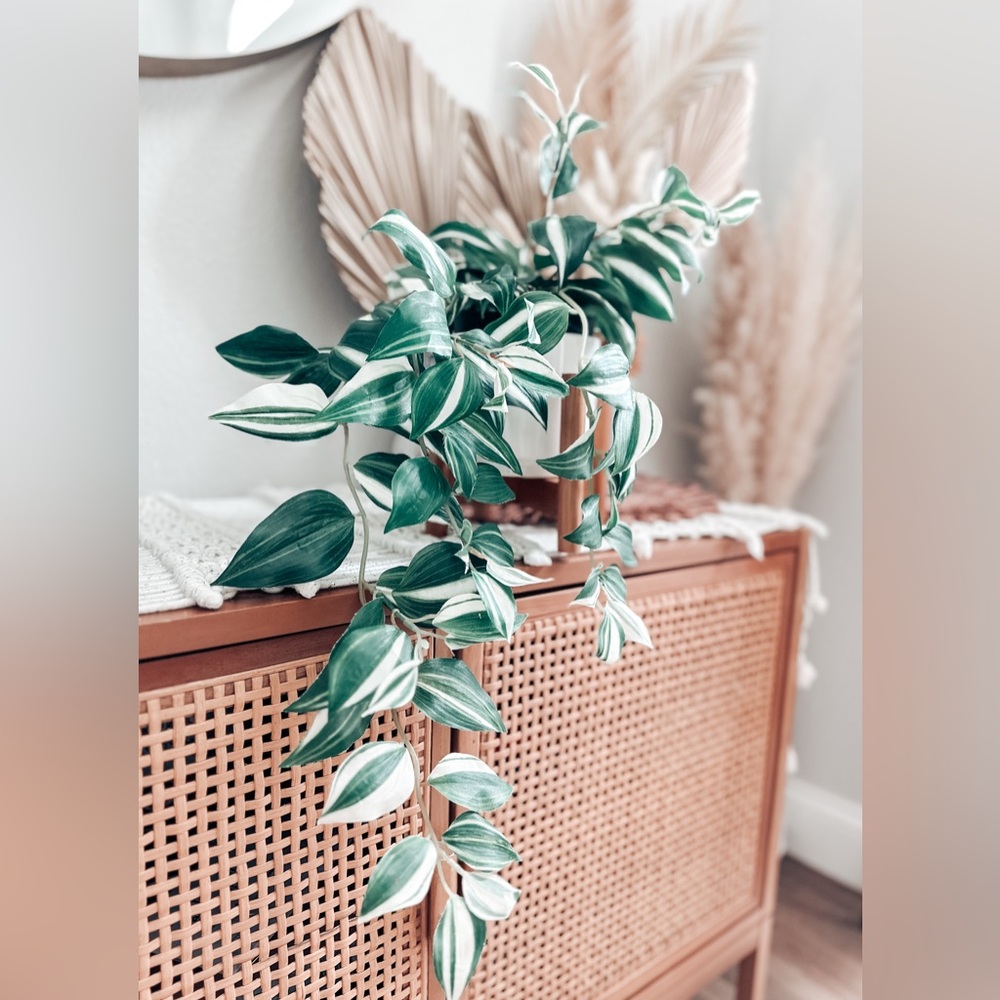 Pottery Barn Artificial Wandering Variegated Plant minimalist Boho Decor - Picture 7 of 7